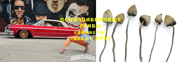 амф Алзамай