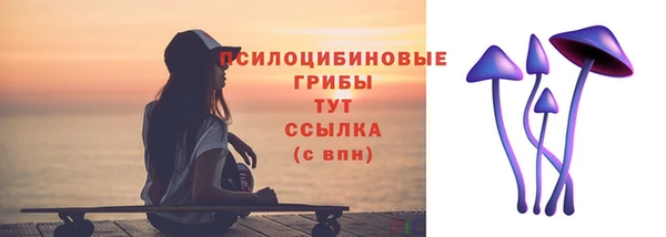 амф Алзамай