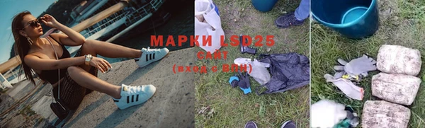 apvp Алексин