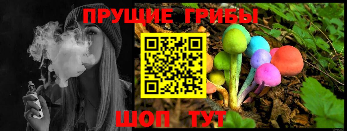 Псилоцибиновые грибы Psilocybe Курск