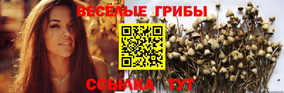 даркнет сайт  Галлюциногенные грибы Psilocybe  Вход с VPN  Курск  Псилоцибиновые грибы Magic Shrooms 